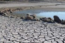 Засуха в Сардинии: объявлено ЧП, введено ограничение на воду