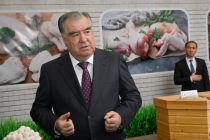 Глава государства Эмомали Рахмон в Худжанде открыл новый цех по производству куриного мяса и колбасы ООО «Сайхун»