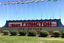 В Гулистоне проходит Международный форум «Ценности здорового образа жизни на пространстве Содружества»