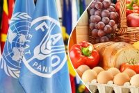 Мировые цены на продовольствие вернулись к росту