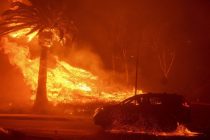 В Калифорнии площадь лесного пожара превысила 1,2 тыс. га