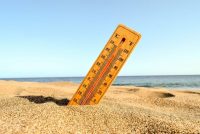 ВМО: один из ближайших пяти лет может стать самым теплым годом за всю историю наблюдений