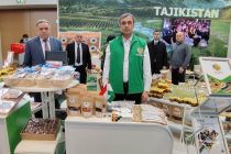 Экологически чистая сельскохозяйственная продукция Таджикистана была представлена на выставке «Международная зелёная неделя-2025»