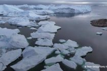 Арктика показала слабейший за 47 лет прирост морского льда
