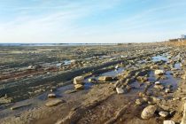 Каспийское море к 2050 году может опуститься до критической отметки