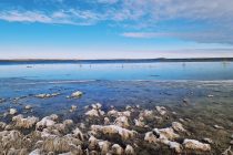 Почти миллиард кубометров воды направят в Северное Аральское море в 2025 году