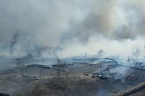 В южнокорейском городе объявлена эвакуация 1200 жителей из-за лесного пожара