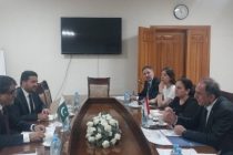 Таджикистан и Пакистан обсудили ускорение реализации имеющихся подписанных соглашений в сфере транспорта