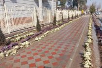 В районе Джайхун проводятся работы по благоустройству и строительству объектов