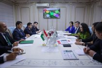 Рассмотрена возможность проведения заседания Совета Зеленого климатического фонда в Таджикистане