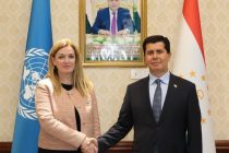 ПРООН поддержит приоритетные проекты для национальной экономики Таджикистана