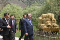 Глава государства Эмомали Рахмон в Дарвазском районе посетил этнографическое селение туристического комплекса «ЗЕВ.С»
