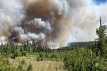 Более 25 тысяч человек эвакуированы в Канаде из-за лесных пожаров