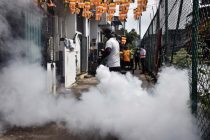 Свыше 25 000 жителей Шри-Ланки заболели лихорадкой денге с начала года
