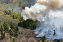 С весны 2025 года пожары уничтожили почти 640 тысяч га лесов и пастбищ в Монголии