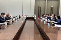 Перспективы таджикско-китайского сотрудничества в энергетике рассмотрены в Нинбо
