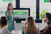 Когда дома – лучше. Как наши соотечественники, работавшие за рубежом, строят карьеру в Таджикистане