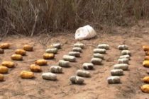 В Душанбе задержан транспортировщик наркотиков с 31 килограммами гашиша и приговорён 13 годам лишения свободы