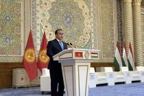 Султон Рахимзода: «Таджикистан и Кыргызстан нуждаются в тесной координации действий и укреплении партнерства»
