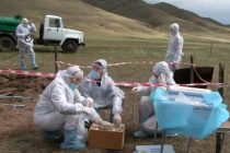 В Казахстане выявлены случаи кожной формы сибирской язвы