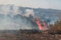 В Турции за несколько дней зарегистрировано 342 лесных пожара