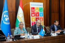 Принят план Совместной программы «Преобразование продовольственных систем для улучшения качества питания»