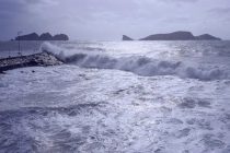 Китай готовится к приближению мощного тайфуна «Рагаса»