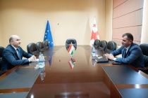 Таджикистан и Грузия обсудили новые возможности сотрудничества между регионами двух стран