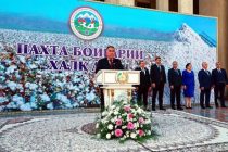 В Согдийской области соберут более 131 тысячи тонн хлопка