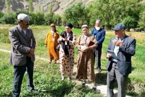Почему и как в Таджикистане стараются сохранить семенной фонд?