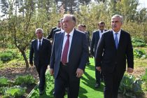 Лидер нации Эмомали Рахмон посетил сад фермерского хозяйства Мирали Махмадали в Восейском районе
