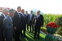 Лидер нации Эмомали Рахмон сдал в эксплуатацию четыре теплицы дехканского хозяйства «Восе» Дангаринского района