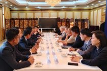 Китайские компании призваны активнее использовать инвестиционные площадки Таджикистана