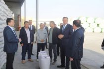 В сезон сбора хлопка ОАО «Джунтай Хатлон Син-Силу» обеспечивает работой около 1600 человек