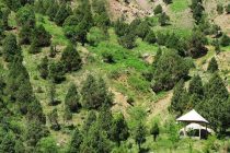 Долина Алмоси в Таджикистане — живая аграрная система, соединяющая мудрость и природу