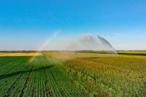 Сельское хозяйство мира за десятилетие увеличило водопотребление на 9 процентов