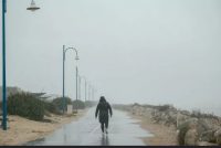 Во Франции около 140 тысяч домов остались без электричества из-за урагана