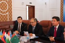 Уровень взаимодействия между государствами Центральной Азии и Россией отличается своей стабильностью