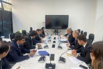 Таджикистан и Пакистан обсудили перспективы расширения сотрудничества в сфере транспорта