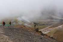 В Новой Зеландии борются с мощным лесным пожаром