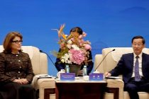 В Чунцине проходят мероприятия по сохранению  культурного наследия Азии