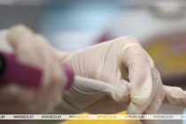 Число заболевших лихорадкой чикунгунья в Гонконге возросло до 70 человек с начала года