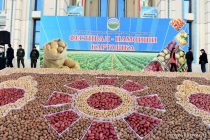 В  Душанбе пройдет  Фестиваль картофеля