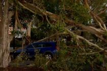 В Австралии без света из-за шторма остались более 77 тысяч жителей