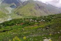 В Ванчском районе на 46 гектарах земли заложили новые сады