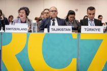 Региональную политику здравоохранения обсудили в Копенгагене