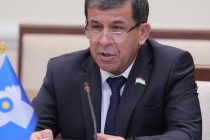 Махмадали Ватанзода назначен координатором группы наблюдателей от МПА СНГ на парламентских выборах в Кыргызстане