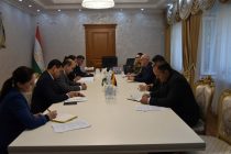 Обсуждена важность сотрудничества Таджикистана и Германии в сфере профессионального образования и изучения немецкого языка