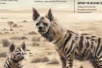 Таджикистан предложил повысить статус полосатой гиены