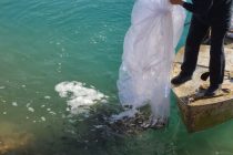 В водохранилище «Бахри Норак» выпущено более 1 миллиона мальков